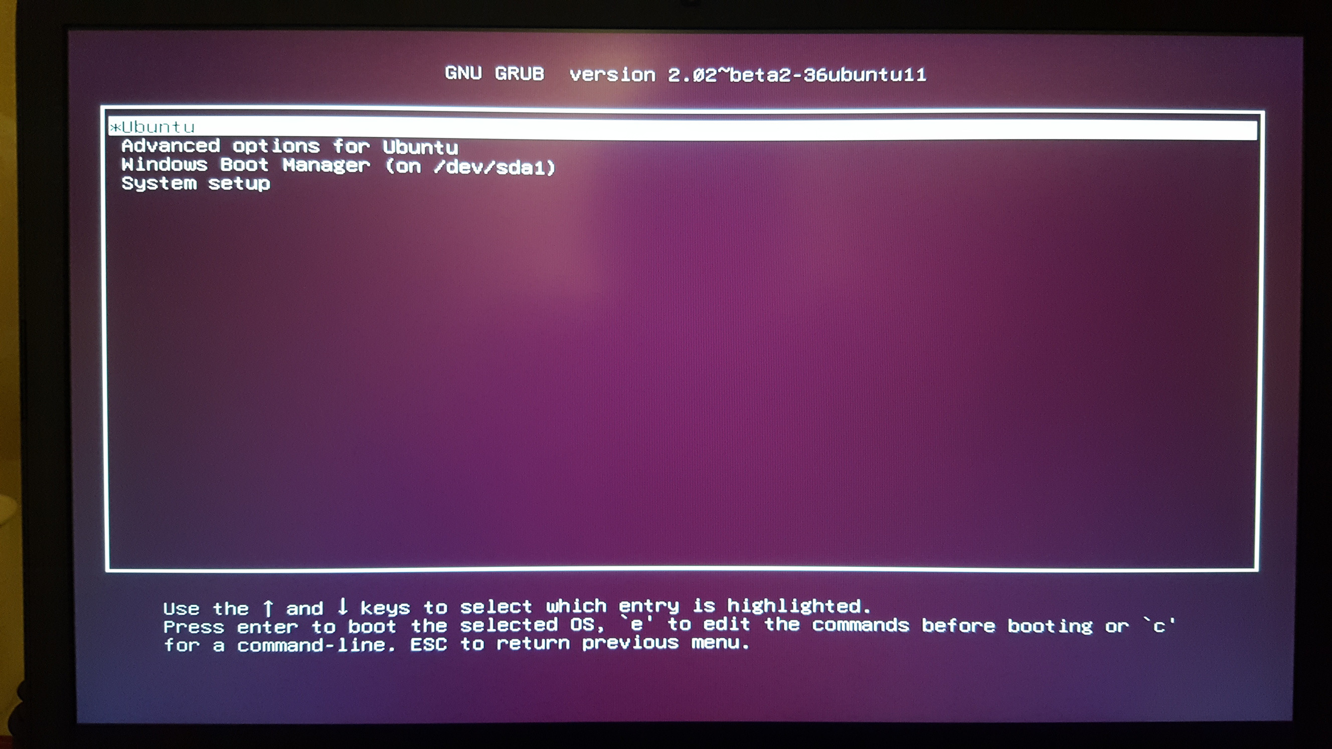 windows 10 bootloader linux